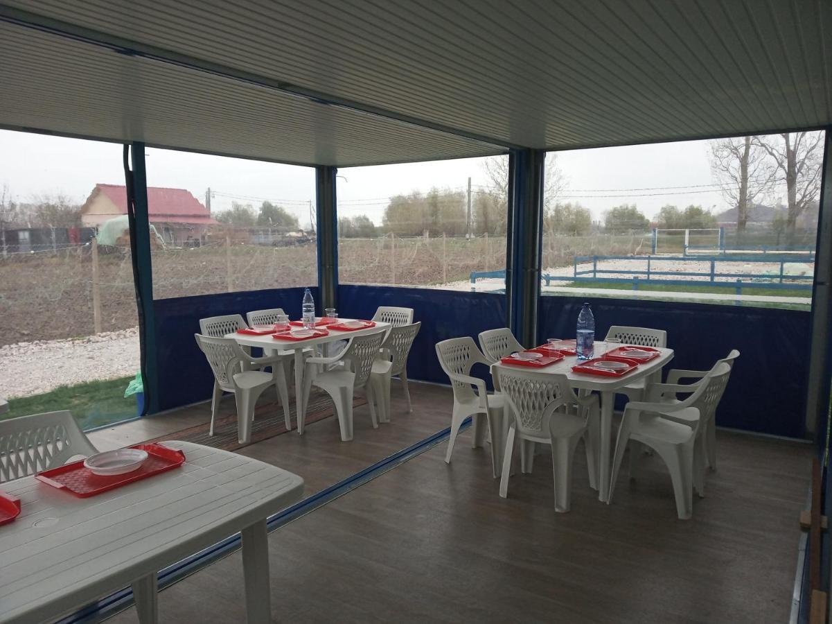 Camping Danubius Tulcea Exteriör bild